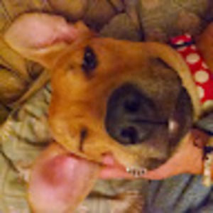 Meet your Posher, Kai